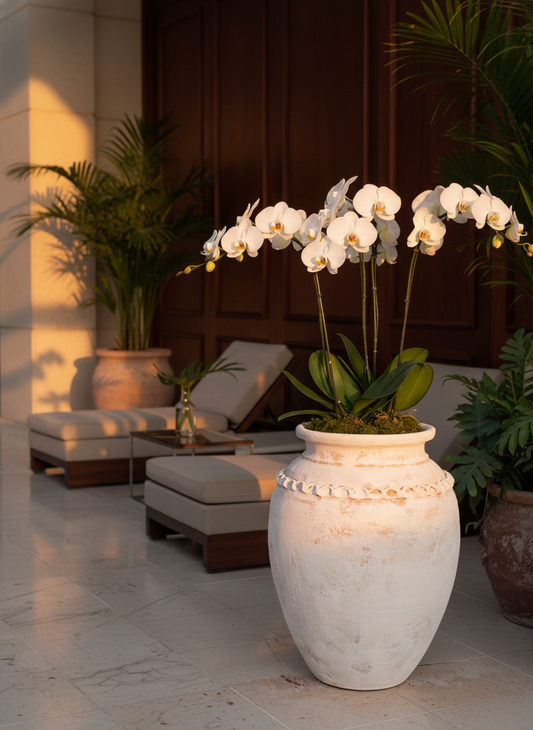 Vaso terracota artesanal Tamar C feito à mão Portugal. biofílico; Decoração estilo wabi-sabi, minimalista, rústico, mediterrânico, Japandi e farmehouse. Decoração de interiores;