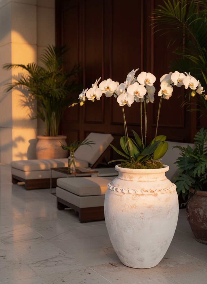 Vaso terracota artesanal Tamar C feito à mão Portugal. biofílico; Decoração estilo wabi-sabi, minimalista, rústico, mediterrânico, Japandi e farmehouse. Decoração de interiores;