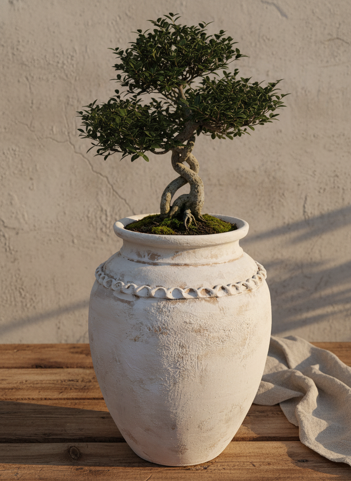 Vaso terracota artesanal Tamar C feito à mão Portugal. biofílico; Decoração estilo wabi-sabi, minimalista, rústico, mediterrânico, Japandi e farmehouse. Decoração de interiores;