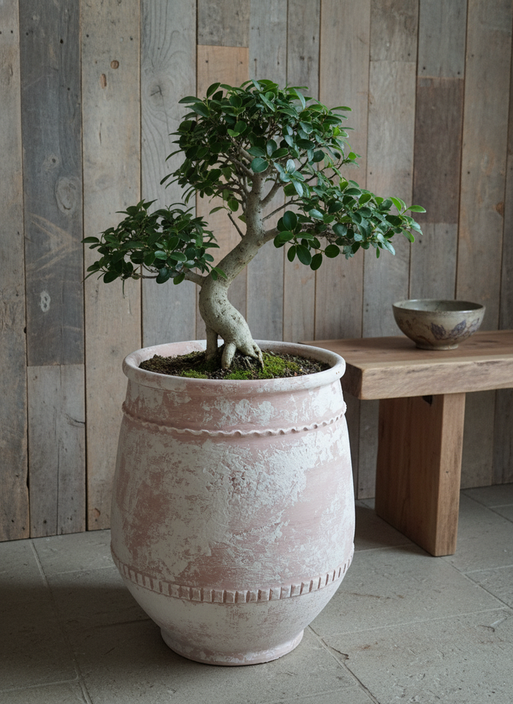 Vaso terracota artesanal Alba E feito à mão Portugal, decoração Wabi-sabi, minimalista, rústico, farmhouse e moderno. Decoração e design de interiores; decoração e design biofílico;