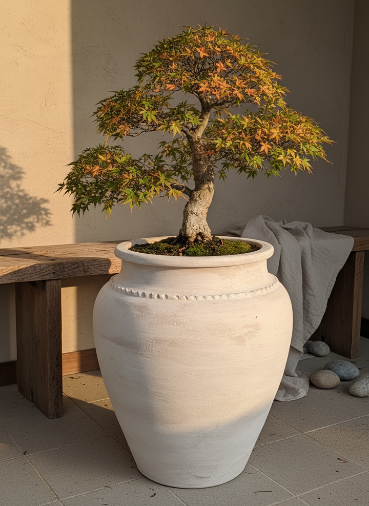 Vaso terracota artesanal Kora K, feito artesanalmente em Portugal. Decoração de interiores; Design biofílico; Decoração sustentável nos estilos: Japandi, minimalista, rústico, mediterrânico, farmhouse e cottage.