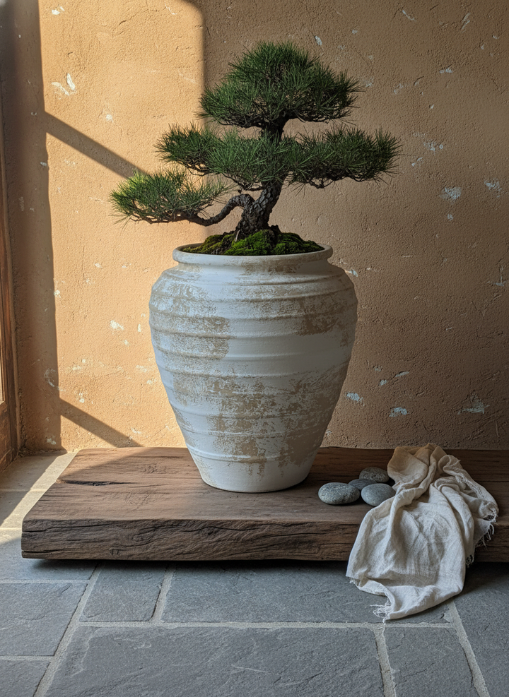 Vaso terracota artesanal Marua G, feito à mão Portugal. Estilo wabi-sabi, minimalista, rústico, mediterrânico, e outras. Decoração sustentável e design de interiores; design biofílico;