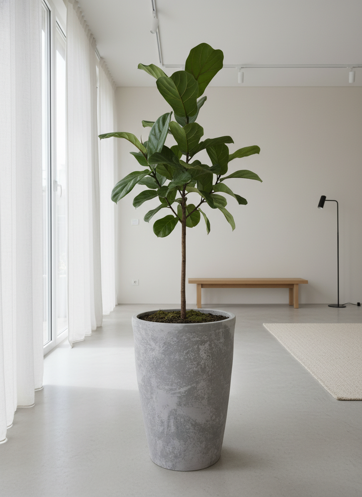 Vaso terracota artesanal Zahura A, feito à mão Portugal. Design natural e decoração sustentável. Perfeito nos estilos Japandi, minimalista, rústico, farmhouse e moderno e wabi-sabi. Decoração de interiores; design biofílico;