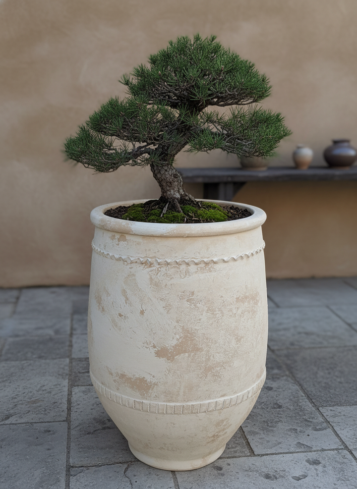 Vaso terracota artesanal Alba B feito à mão Portugal, decoração wabi-sabi, minimalista, rústico, mediterrânico, e outras. Decoração e design de interiores; decoração e design biofílico;