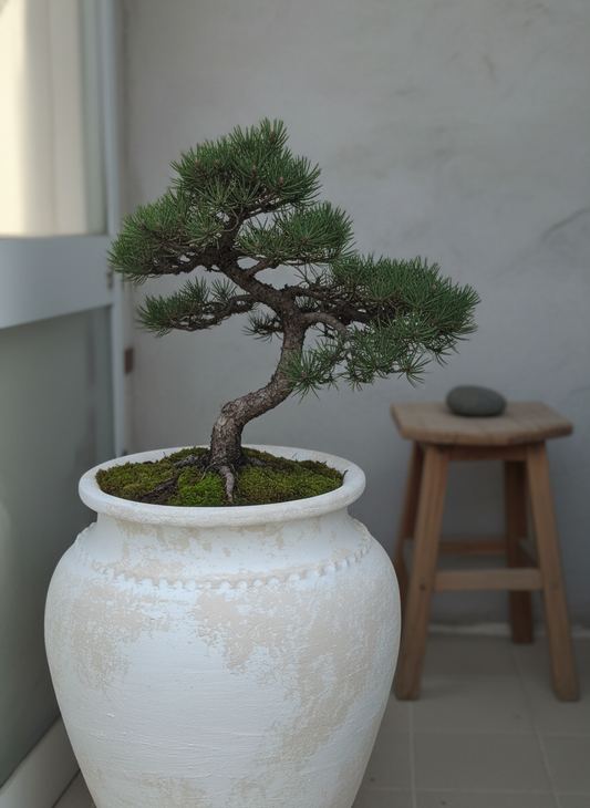 Vaso terracota artesanal Kora F feito à mão Portugal, decoração wabi-sabi, minimalista, rústico, mediterrânico, e outras. Design de interiores; decoração sustentável, design biofílico;