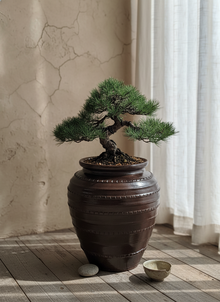 Vaso terracota artesanal feito à mão em Portugal, decoração moderna, Japandi, minimalista, rústico, mediterrânico, farmhouse, cottagecore. Decoração e design de interiores; decoração e design biofílico;