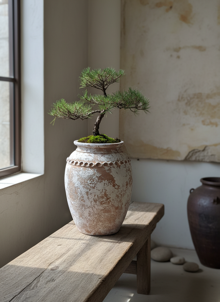 Vaso terracota artesanal Tamar B feito à mão Portugal, estilo wabi-sabi, minimalista, rústico, mediterrânico, Japandi e farmehouse. Decoração de interiores; design biofílico;