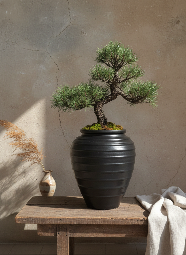Vaso terracota artesanal Safi D feito à mão Portugal, decoração wabi-sabi, minimalista, rústico, mediterrânico, e outras. Decoração e design de interiores; decoração e design biofílico;