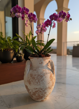 Vaso terracota artesanal Poteh B feito à mão Portugal. Decoração sustentável nos estilos Japandi, minimalista, rústico, farmhouse e moderno e wabi-sabi. Design de interiores; decoração e design biofílico;