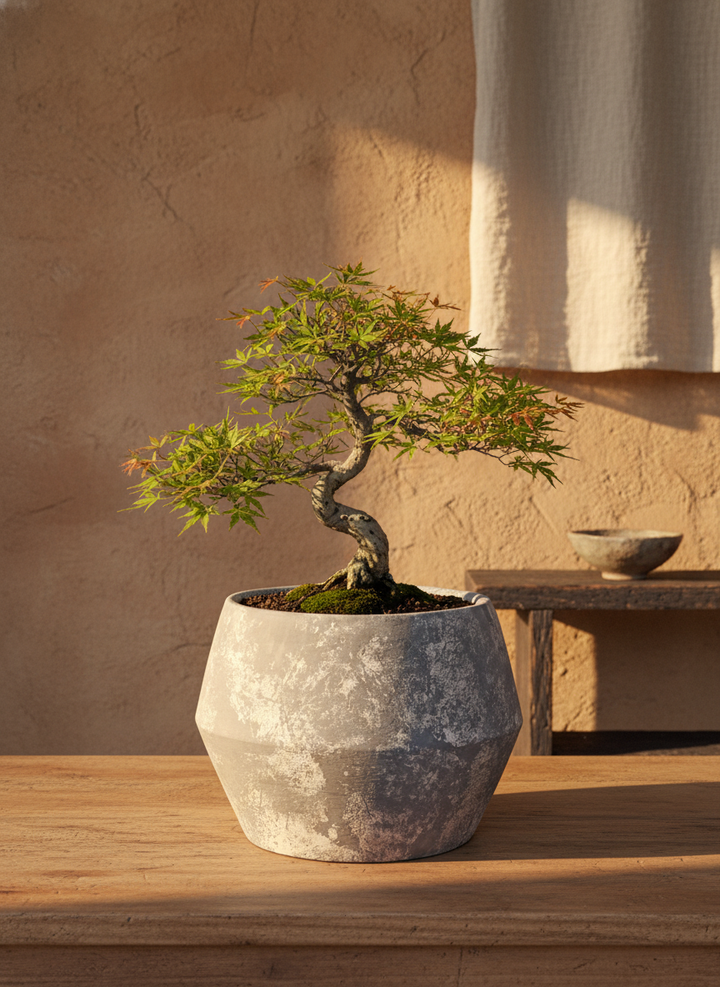 Vaso terracota artesanal Azura A feito à mão Portugal, decoração wabi-sabi, minimalista, rústico, mediterrânico, e outras. Decoração e design de interiores; decoração e design biofílico; 