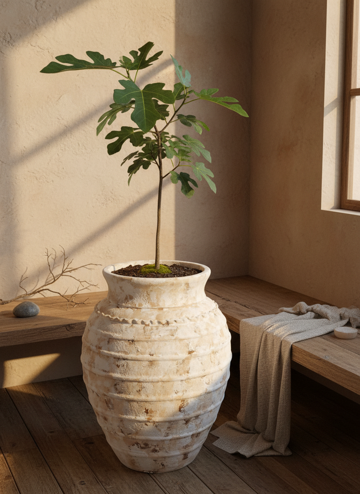 Vaso terracota artesanal Exclusivo 1 feito à mão Portugal, decoração wabi-sabi, minimalista, rústico, mediterrânico, e outras. Decoração e design de interiores; decoração e design biofílico;