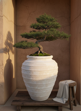 MARUA C Handmade Terracotta Pot | 45-75