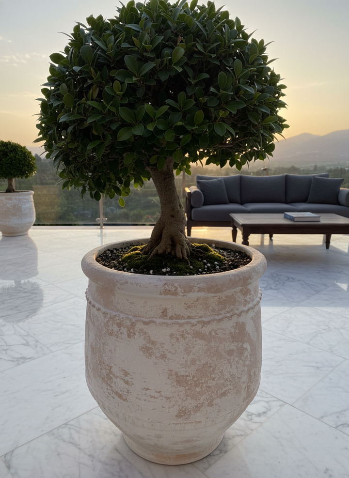 Vaso terracota artesanal Alba F feito à mão Portugal. Decoração Wabi-sabi, minimalista, rústico, farmhouse e moderno. Decoração e design de interiores; design biofílico; decoração sustentável.