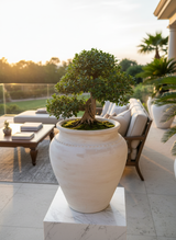 Vaso terracota artesanal Kora K, feito artesanalmente em Portugal. Decoração de interiores; Design biofílico; Decoração sustentável nos estilos: Japandi, minimalista, rústico, mediterrânico, farmhouse e cottage. 