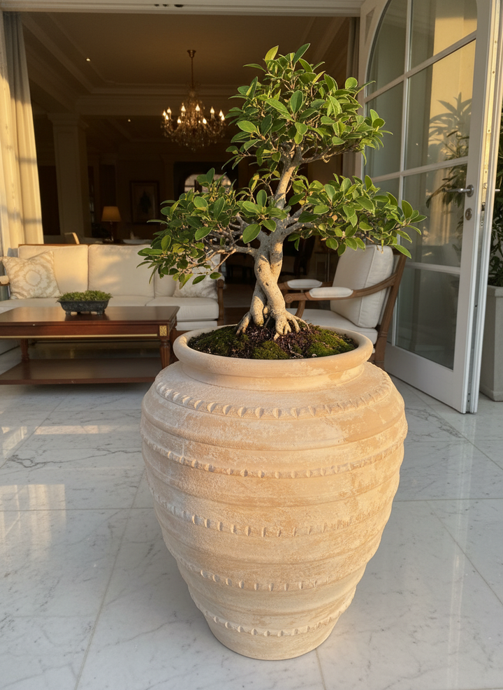 Vaso terracota artesanal Marua A feito à mão Portugal, decoração wabi-sabi, minimalista, rústico, mediterrânico, e outras. Decoração e design de interiores; decoração e design biofílico; 