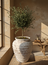 Vaso terracota artesanal Marua H, feito à mão Portugal. Decoração sustentável. Estilo wabi-sabi, minimalista, rústico, mediterrânico, e outras. Design de interiores; design biofílico;