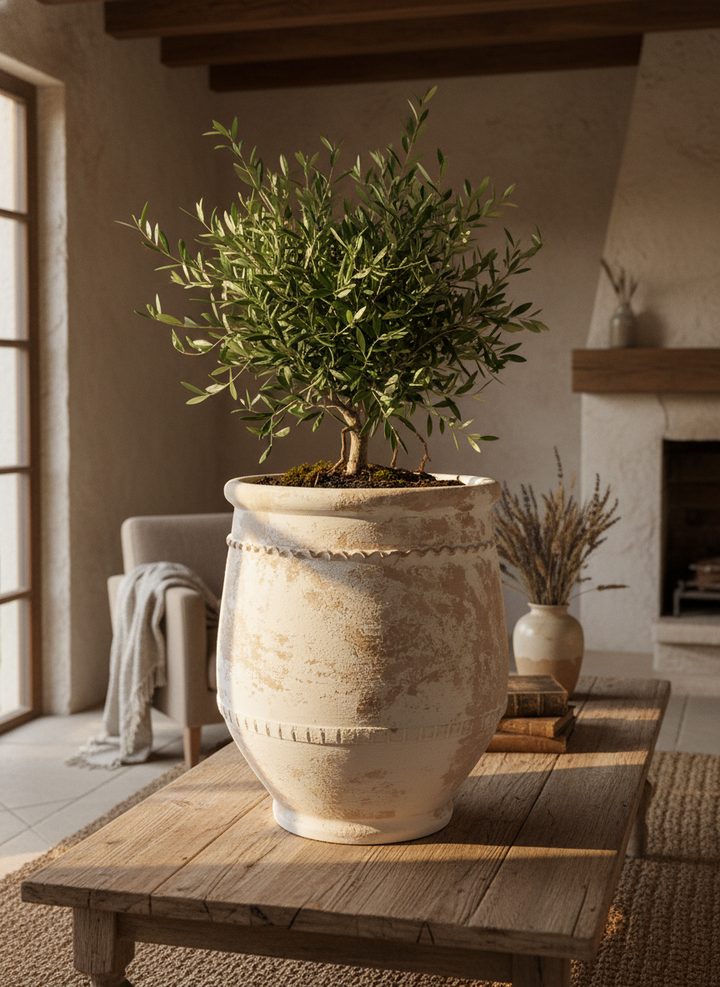 Vaso terracota artesanal Alba F feito à mão Portugal. Decoração Wabi-sabi, minimalista, rústico, farmhouse e moderno. Decoração e design de interiores; design biofílico; decoração sustentável.