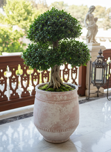 Vaso terracota artesanal Alba E feito à mão Portugal, decoração Wabi-sabi, minimalista, rústico, farmhouse e moderno. Decoração e design de interiores; decoração e design biofílico;