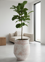 Vaso terracota artesanal Alba E feito à mão Portugal, decoração Wabi-sabi, minimalista, rústico, farmhouse e moderno. Decoração e design de interiores; decoração e design biofílico;