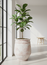 Vaso terracota artesanal Alba E feito à mão Portugal, decoração Wabi-sabi, minimalista, rústico, farmhouse e moderno. Decoração e design de interiores; decoração e design biofílico;