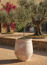 Vaso terracota artesanal Alba E feito à mão Portugal, decoração Wabi-sabi, minimalista, rústico, farmhouse e moderno. Decoração e design de interiores; decoração e design biofílico;