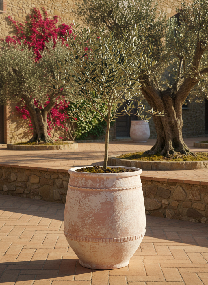 Vaso terracota artesanal Alba E feito à mão Portugal, decoração Wabi-sabi, minimalista, rústico, farmhouse e moderno. Decoração e design de interiores; decoração e design biofílico;