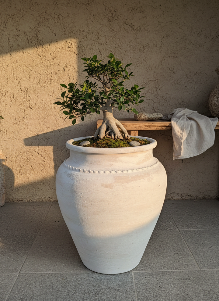 Vaso terracota artesanal Kora K, feito artesanalmente em Portugal. Decoração de interiores; Design biofílico; Decoração sustentável nos estilos: Japandi, minimalista, rústico, mediterrânico, farmhouse e cottage. 