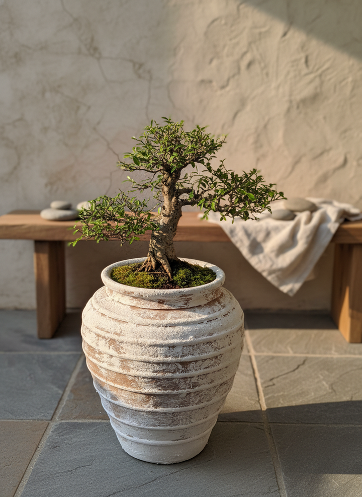 Vaso terracota artesanal Marua H, feito à mão Portugal. Decoração sustentável. Estilo wabi-sabi, minimalista, rústico, mediterrânico, e outras. Design de interiores; design biofílico;