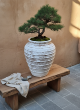 Vaso terracota artesanal Marua H, feito à mão Portugal. Decoração sustentável. Estilo wabi-sabi, minimalista, rústico, mediterrânico, e outras. Design de interiores; design biofílico;