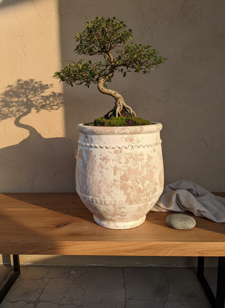Vaso terracota artesanal Alba F feito à mão Portugal. Decoração Wabi-sabi, minimalista, rústico, farmhouse e moderno. Decoração e design de interiores; design biofílico; decoração sustentável.
