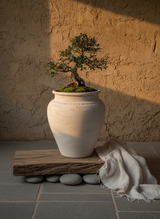 Vaso terracota artesanal Kora K, feito artesanalmente em Portugal. Decoração de interiores; Design biofílico; Decoração sustentável nos estilos: Japandi, minimalista, rústico, mediterrânico, farmhouse e cottage. 