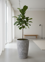 Vaso terracota artesanal Zahura A, feito à mão Portugal. Design natural e decoração sustentável. Perfeito nos estilos Japandi, minimalista, rústico, farmhouse e moderno e wabi-sabi. Decoração de interiores; design biofílico;
