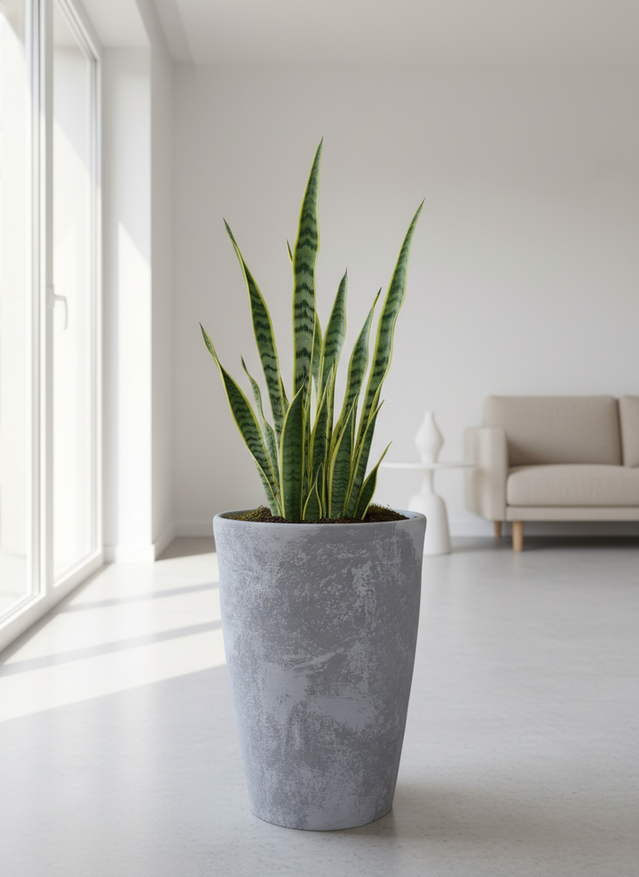 Vaso terracota artesanal Zahura A, feito à mão Portugal. Design natural e decoração sustentável. Perfeito nos estilos Japandi, minimalista, rústico, farmhouse e moderno e wabi-sabi. Decoração de interiores; design biofílico;
