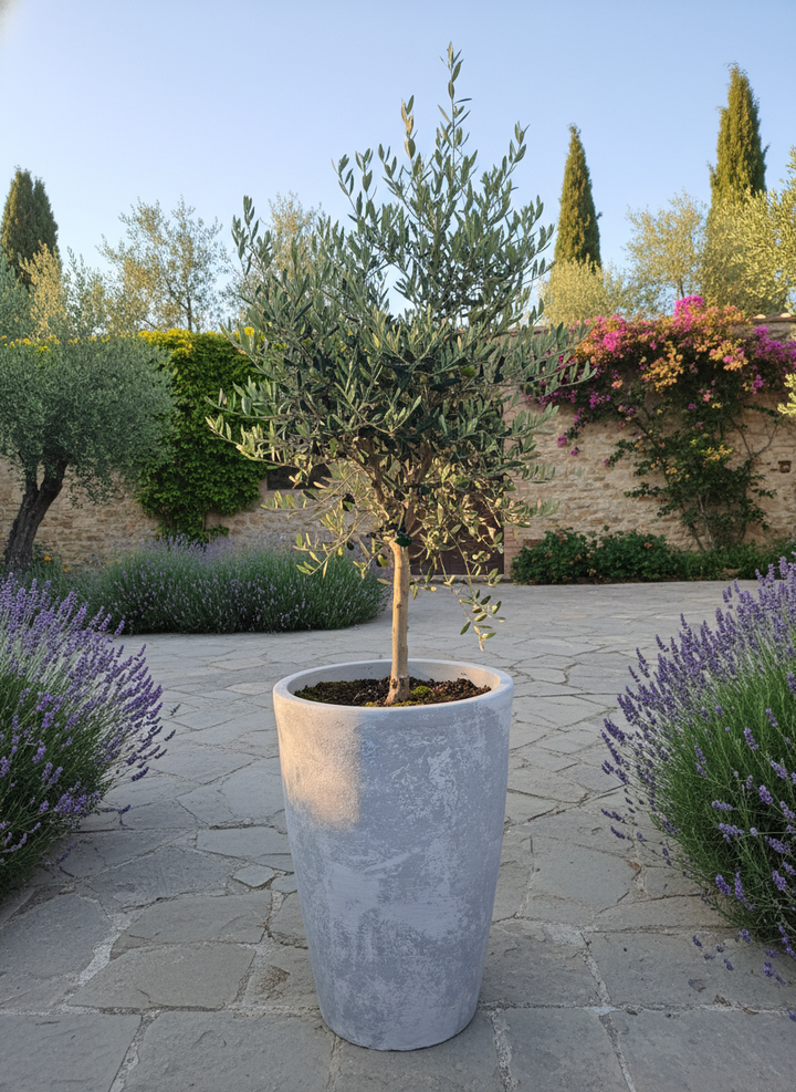 Vaso terracota artesanal Zahura A, feito à mão Portugal. Design natural e decoração sustentável. Perfeito nos estilos Japandi, minimalista, rústico, farmhouse e moderno e wabi-sabi. Decoração de interiores; design biofílico;
