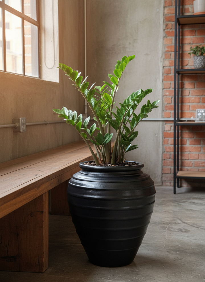 Vaso terracota artesanal Safi D feito à mão Portugal, decoração wabi-sabi, minimalista, rústico, mediterrânico, e outras. Decoração e design de interiores; decoração e design biofílico;
