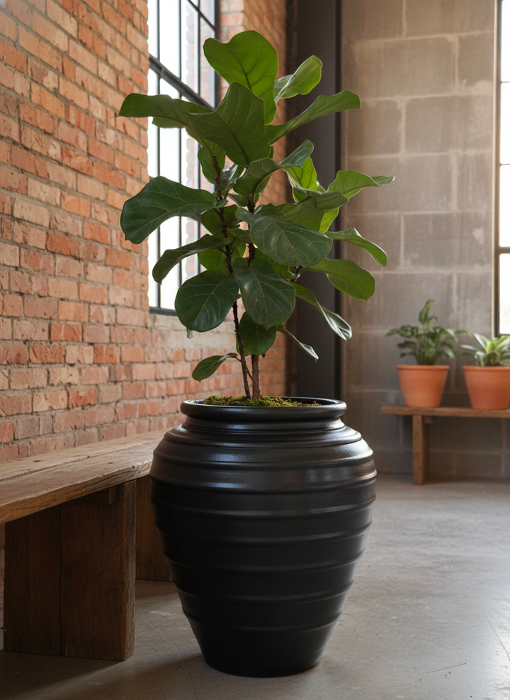 Vaso terracota artesanal Safi D feito à mão Portugal, decoração wabi-sabi, minimalista, rústico, mediterrânico, e outras. Decoração e design de interiores; decoração e design biofílico;