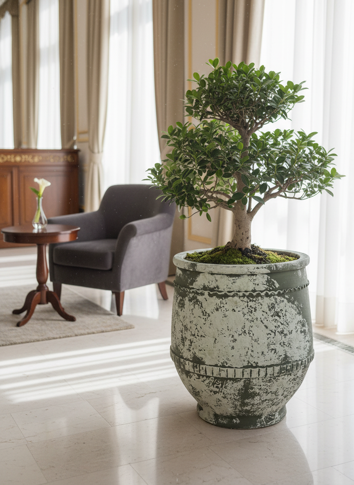 Vaso terracota artesanal Alba C feito à mão Portugal, decoração farmhouse, Japandi, minimalista, mediterrânica, cottagecore e moderno. Decoração e design de interiores; decoração e design biofílico;