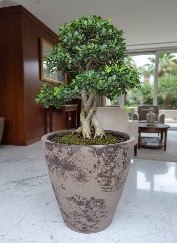 Vaso terracota artesanal Nura B feito à mão Portugal, decoração Japandi, minimalista, rústico, farmhouse e moderno. Decoração e design de interiores; decoração e design biofílico;