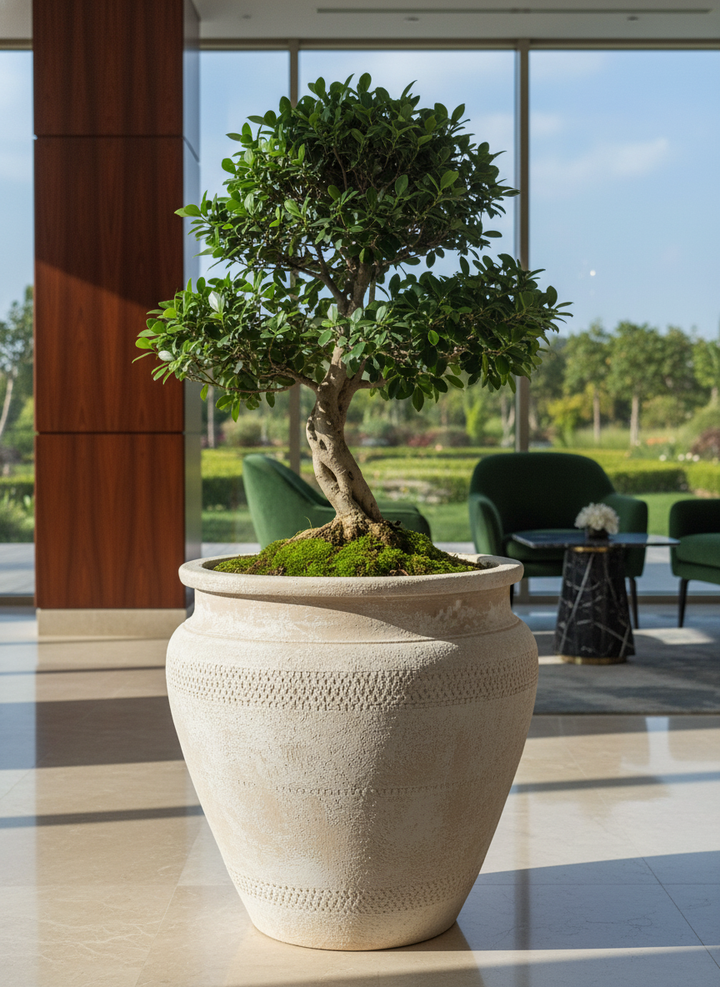 Vaso terracota artesanal Alura A feito à mão Portugal, decoração wabi-sabi, minimalista, rústico, mediterrânico, e outras. Decoração e design de interiores; decoração e design biofílico;