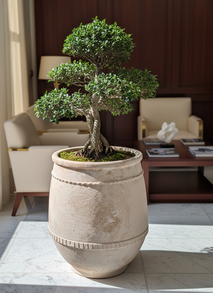 Vaso terracota artesanal Alba D feito à mão em Portugal. Decoração farmhouse, Japandi, minimalista, mediterrânica, cottagecore e moderno. Decoração e design de interiores; decoração e design biofílico;
