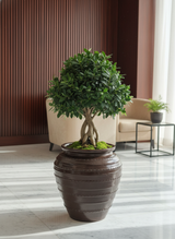 Vaso terracota artesanal feito à mão em Portugal, decoração moderna, Japandi, minimalista, rústico, mediterrânico, farmhouse, cottagecore. Decoração e design de interiores; decoração e design biofílico;