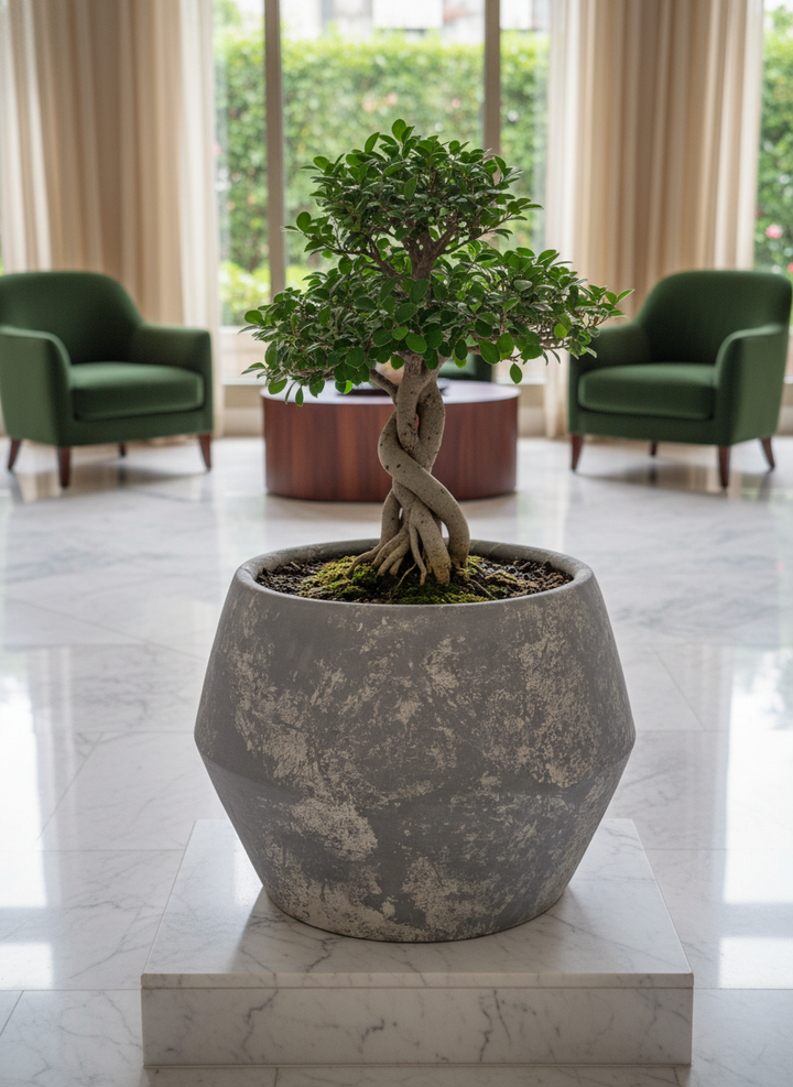 Vaso terracota artesanal Azura A feito à mão Portugal, decoração wabi-sabi, minimalista, rústico, mediterrânico, e outras. Decoração e design de interiores; decoração e design biofílico; 