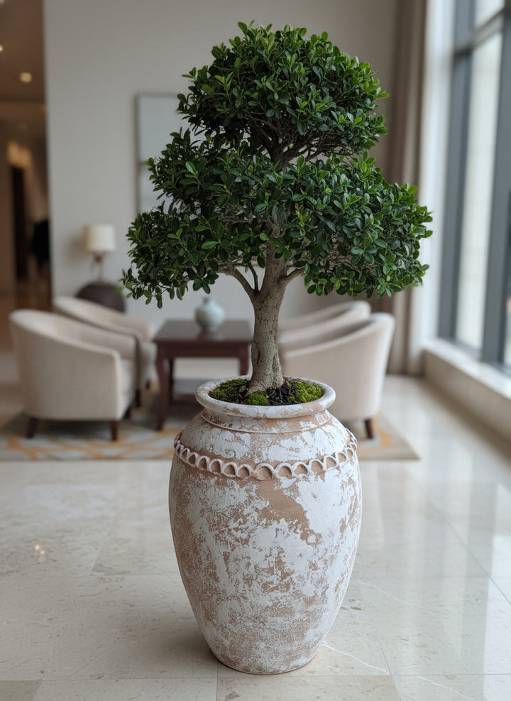 Vaso terracota artesanal Tamar B feito à mão Portugal, estilo wabi-sabi, minimalista, rústico, mediterrânico, Japandi e farmehouse. Decoração de interiores;  design biofílico;