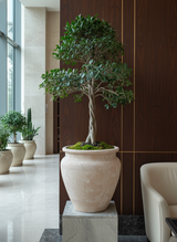 Vaso terracota artesanal Alura B feito à mão Portugal, decoração Japandi, minimalista, rústico, mediterrânico, cottagecore, farmhouse. Decoração e design de interiores; decoração e design biofílico;