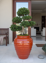 Vaso terracota artesanal handmade em Portugal, decoração moderna, Japandi, minimalista, rústico, mediterrânico, farmhouse, cottagecore. Decoração e design de interiores; decoração e design biofílico;
