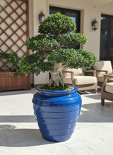 Vaso terracota artesanal Safi A feito à mão Portugal, decoração wabi-sabi, minimalista, rústico, mediterrânico, e outras. Decoração e design de interiores; decoração e design biofílico;
