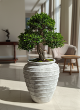 Vaso terracota artesanal Marua E feito à mão Portugal. Decoração e design biofílico; Decoração nos estilos wabi-sabi, Japandi, minimalista, rústico, mediterrânico, farmehouse, cottage. Design de interiores; 