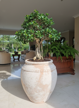 Vaso terracota artesanal  EXC 5, feito à mão Portugal, decoração wabi-sabi, farmhouse, Japandi, minimalista, mediterrânica, cottagecore e moderno. Decoração sustentável e design de interiores; design biofílico;