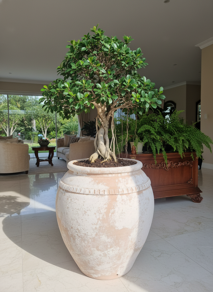 Vaso terracota artesanal  EXC 5, feito à mão Portugal, decoração wabi-sabi, farmhouse, Japandi, minimalista, mediterrânica, cottagecore e moderno. Decoração sustentável e design de interiores; design biofílico;