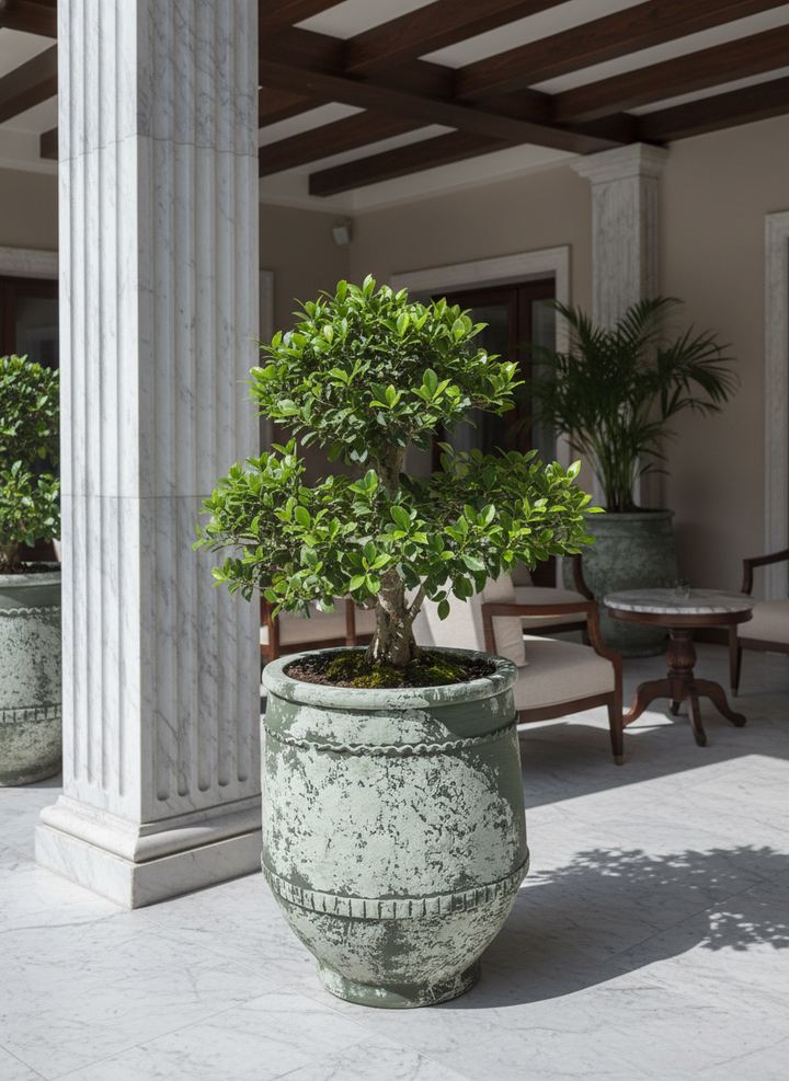 Vaso terracota artesanal Alba C feito à mão Portugal, decoração farmhouse, Japandi, minimalista, mediterrânica, cottagecore e moderno. Decoração e design de interiores; decoração e design biofílico;